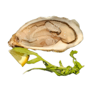 Restaurant Nagoya-gerecht-appetizers-salads-oester