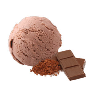 Restaurant Nagoya-gerecht-dessert-chocolade-ijs