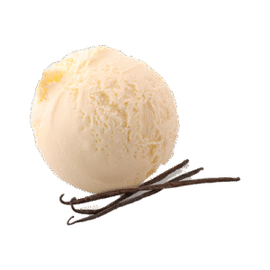 Restaurant Nagoya-gerecht-dessert-vanille-ijs