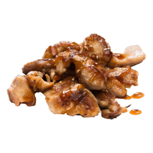 Restaurant Nagoya-gerecht-fried-grill-gegrilde-kip