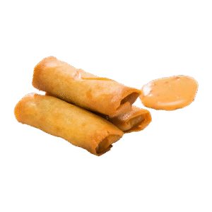 Restaurant Nagoya-gerecht-fried-grill-m-loempias