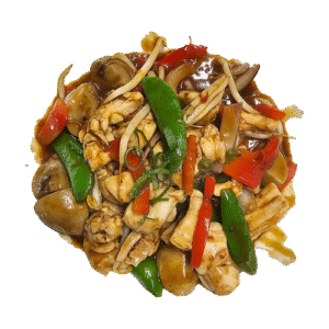 Restaurant Nagoya-gerecht-fried-grill-pikante-kip