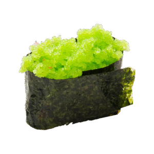 Restaurant Nagoya-gerecht-nigiri-gunkan-gunkan-wasabi-ebico